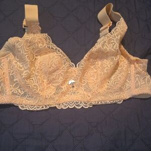 Elegant Lace Beige Bra